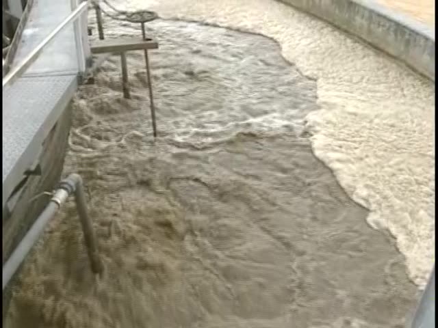 Watching Your Waste Line