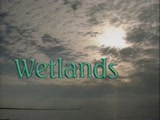 Wetlands