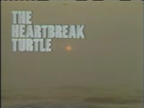 Heartbreak Turtle